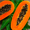 extract de semințe de papaya - Vermixin Compoziţie